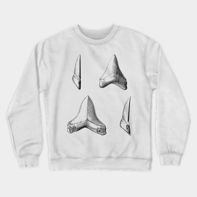 Shark Teeth | Great White Megalodon Fossils Crewneck Sweatshirt by encycloart